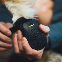Ridgeline -koiran kengät>RuffWear Best