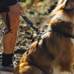 Ridgeline talutin>RuffWear New