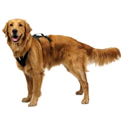 Ridgeline valjaat, Obsidian Black>RuffWear Sale
