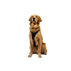 Ridgeline valjaat, Obsidian Black>RuffWear Sale