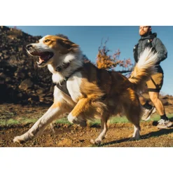 Ridgeline valjaat, Obsidian Black>RuffWear Sale