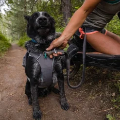 Roamer joustotalutin, harmaa>RuffWear Best