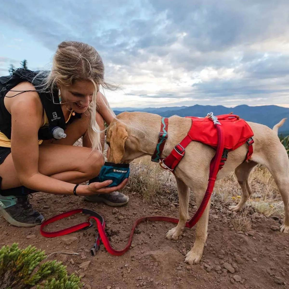 Switchbak -koiran valjaat, punainen>RuffWear Discount