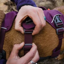 Web Master monitoimivaljaat, violetti>RuffWear Hot