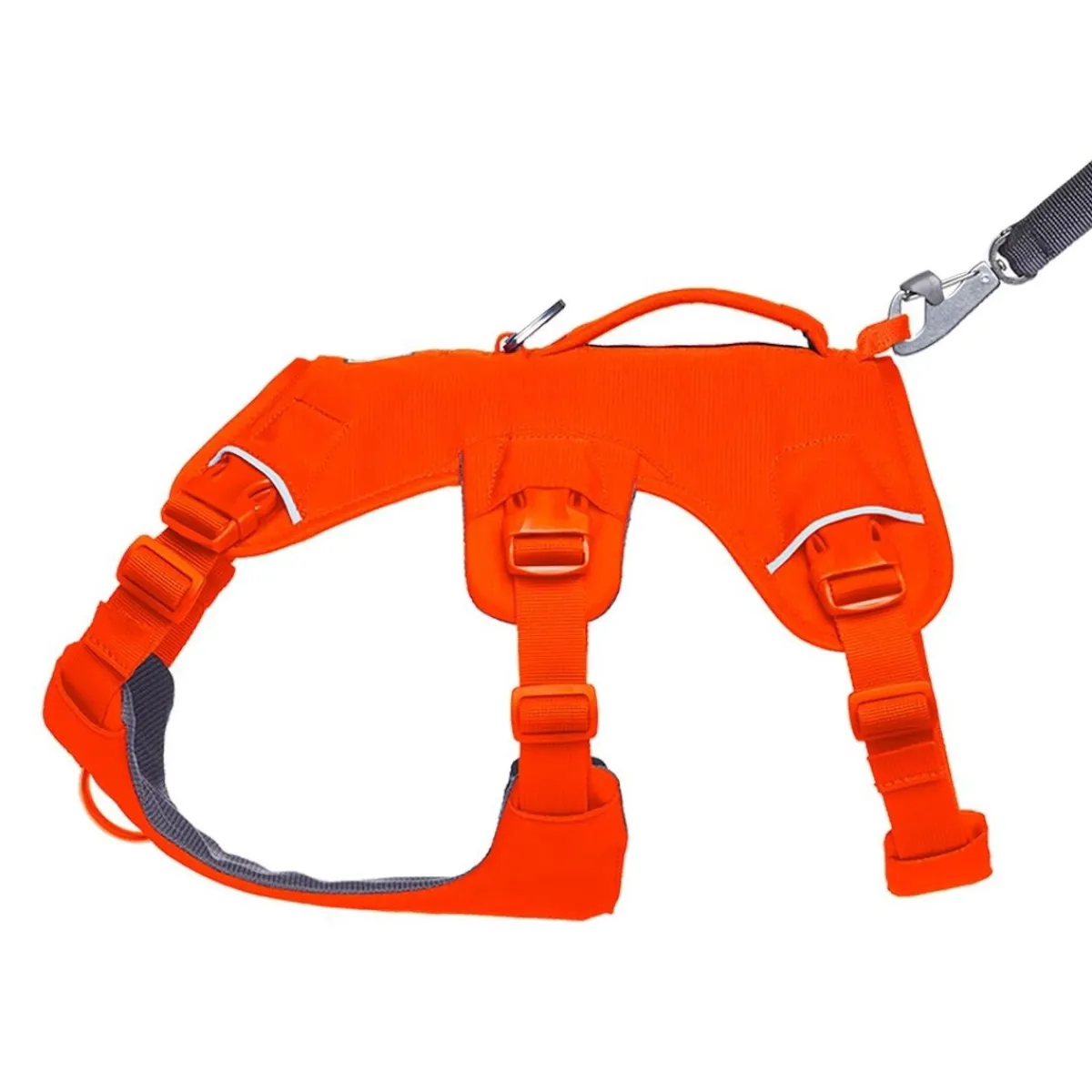 Web Master valjaat koiralle, Blaze Orange>RuffWear Best