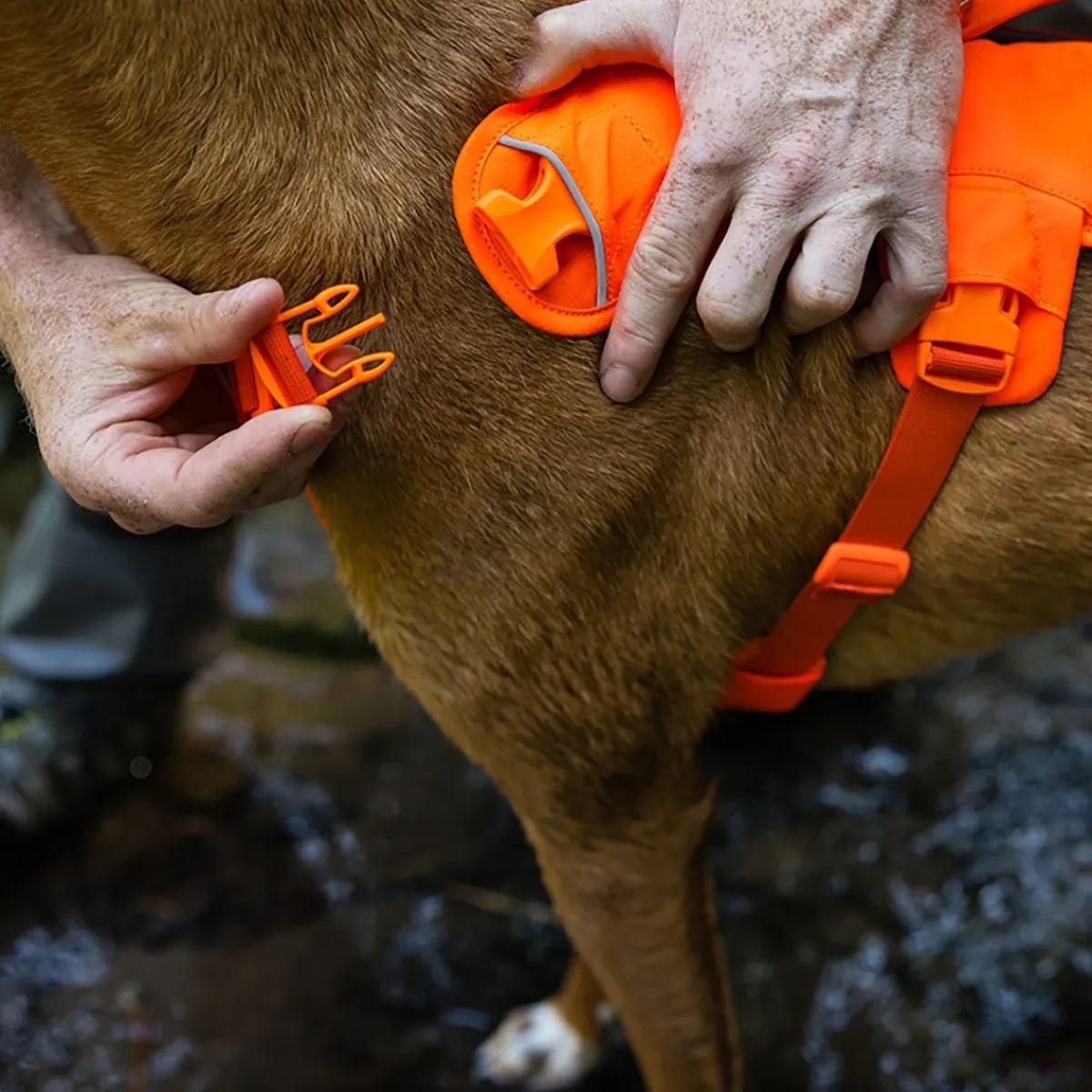 Web Master valjaat koiralle, Blaze Orange>RuffWear Best
