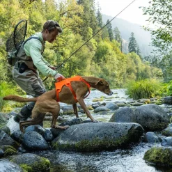 Web Master valjaat koiralle, Blaze Orange>RuffWear Best