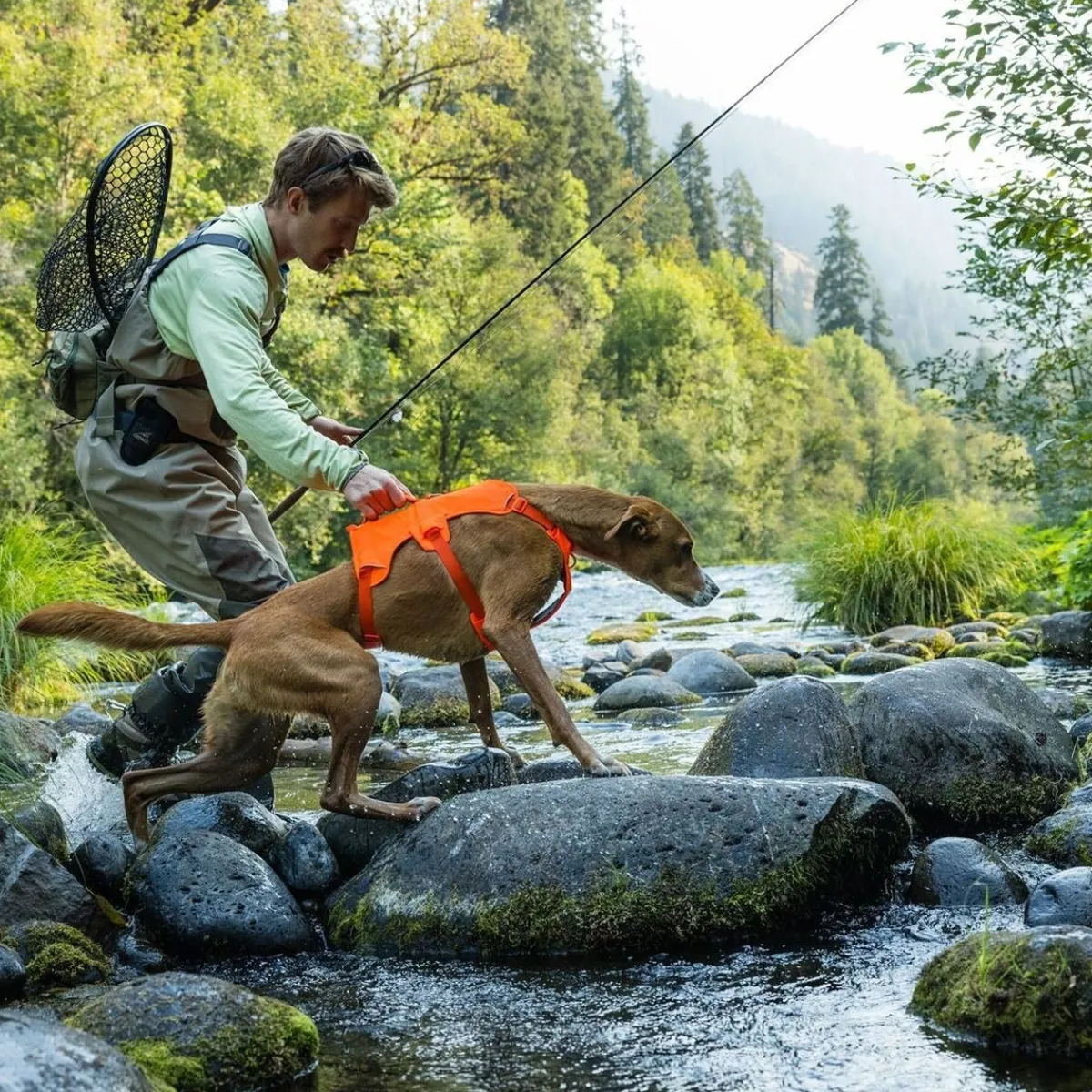 Web Master valjaat koiralle, Blaze Orange>RuffWear Best