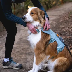 Web Master, valjas River Rock Green>RuffWear Discount