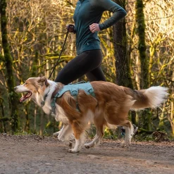 Web Master, valjas River Rock Green>RuffWear Discount