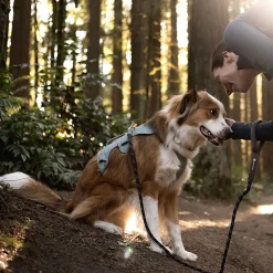 Web Master, valjas River Rock Green>RuffWear Discount