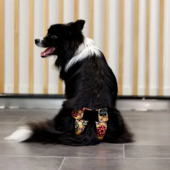juoksupöksyt kietaisumalli, Kaleido Rush>RuttuNuttu Clearance