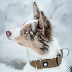 puolikiristävä panta, kojootti>Salmiakkitassu Hot