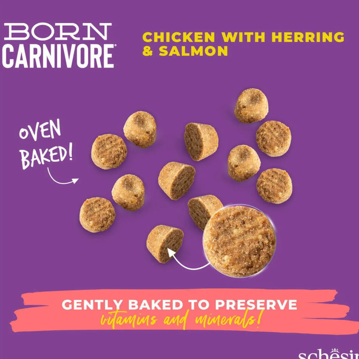 Born Carnivore kana & silli>Schesir Outlet