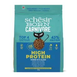 Born Carnivore silli & lohi>Schesir Sale