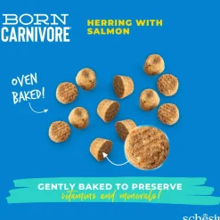 Born Carnivore silli & lohi>Schesir Sale