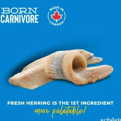 Born Carnivore silli & lohi>Schesir Sale