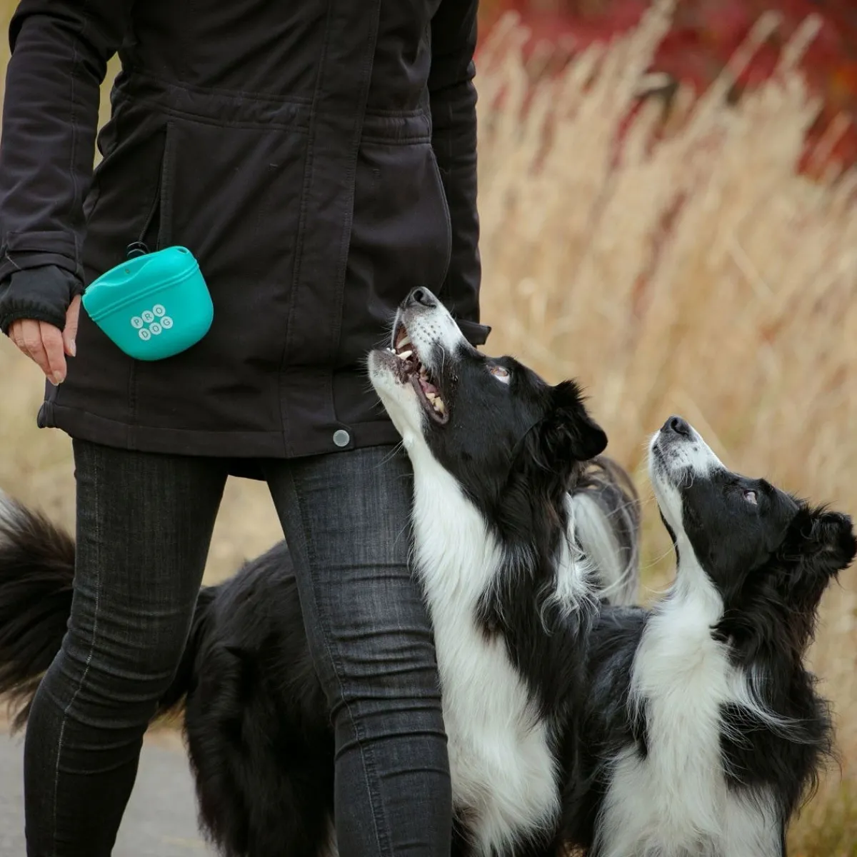 Silikoninen makupalapussi , turkoosi>Pro Dog Online