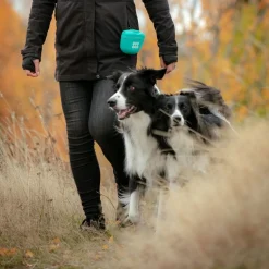 Silikoninen makupalapussi , turkoosi>Pro Dog Online