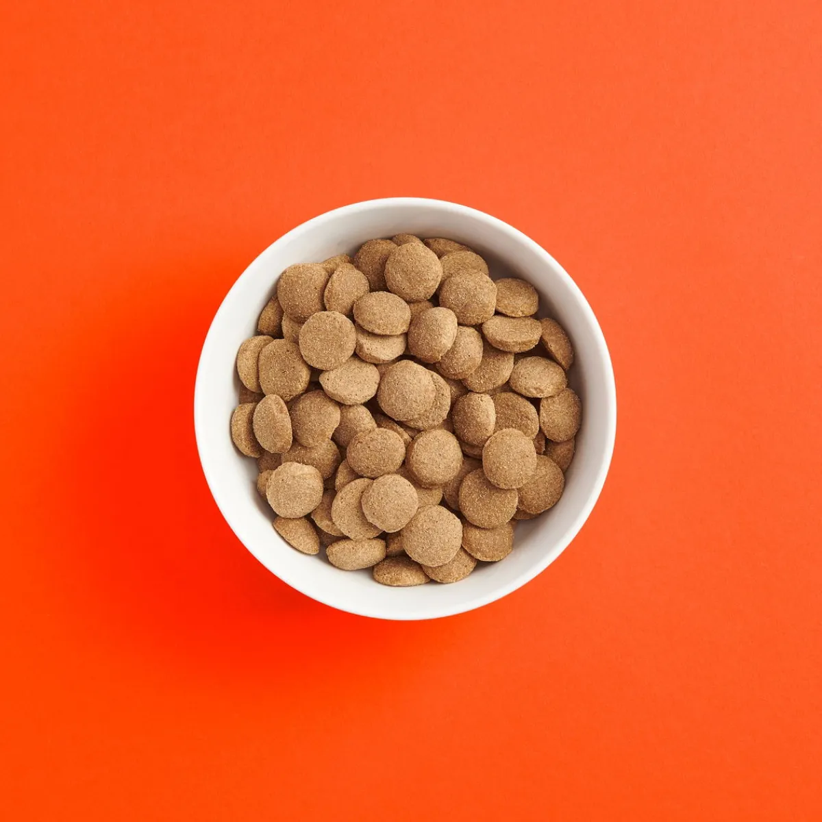 kana suurille roduille>Smaak Best