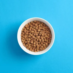 kissanpennun ruoka>Smaak Sale