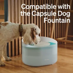Suodattimet Capsule -koiran juoma-automaattiin>Petlibro Online