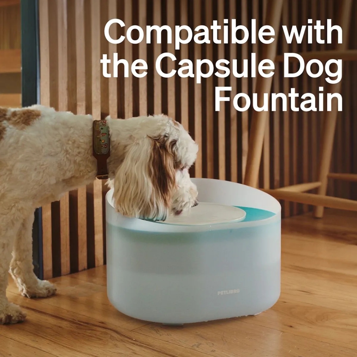 Suodattimet Capsule -koiran juoma-automaattiin>Petlibro Online