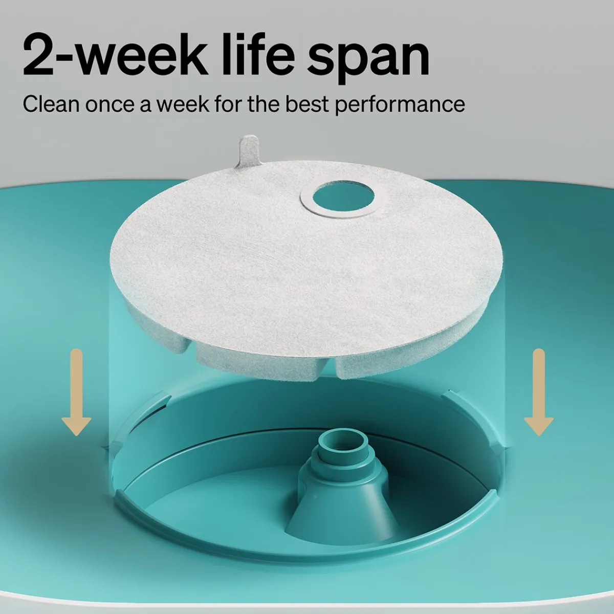 Suodattimet Capsule -koiran juoma-automaattiin>Petlibro Online