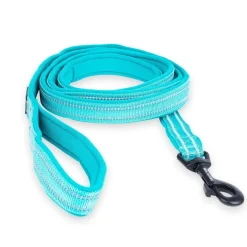 Talutushihna Padded, turkoosi>Feel Active