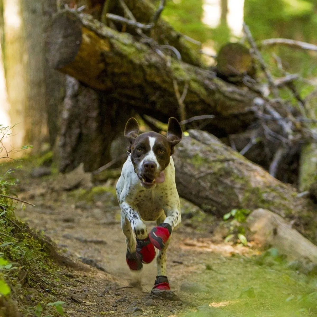 Tossut Grip Trex, punainen>RuffWear