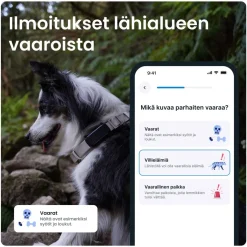 GPS koiralle DOG 6, musta>Tractive New