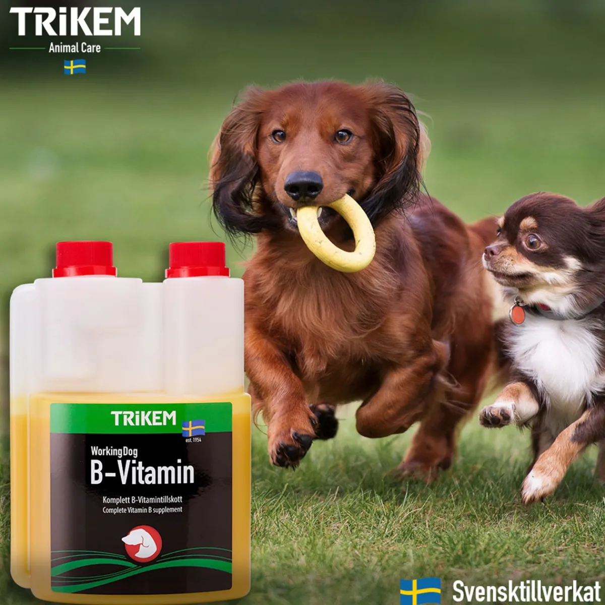 WorkingDog B-vitamiini koiralle>Trikem Discount