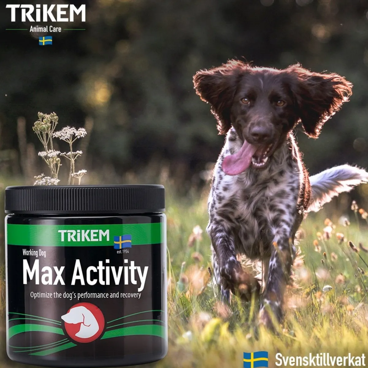 WorkingDog Max Activity>Trikem Outlet