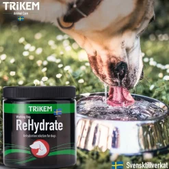 WorkingDog Rehydrate 400 g>Trikem Sale