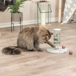 Cat Activity Gambling Tower>Trixie Hot
