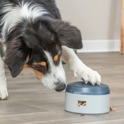 Dog Activity Buzzer>Trixie Online