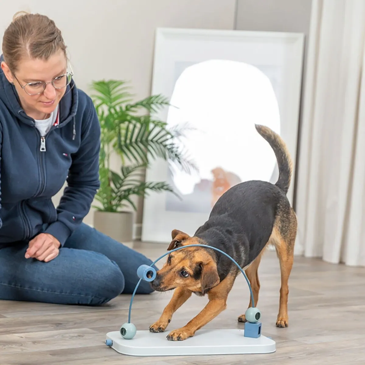 Dog Activity Skills Loop>Trixie Online
