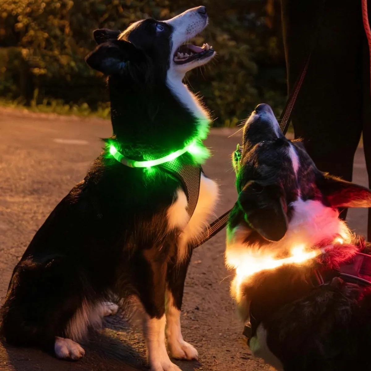 USB-ladattava valopanta, silikoni>Trixie Best