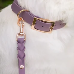 Braid hihna, mauve/ruusukulta>Tyylivoitto Outlet