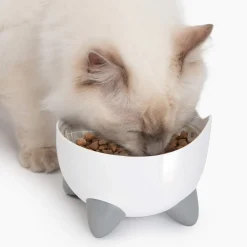 Vesiautomaatti kissoille & korotettu kuppi Pixi Combo>Catit Best