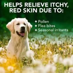 Allergy itch Shampoo 500 ml>Vet's Best Discount