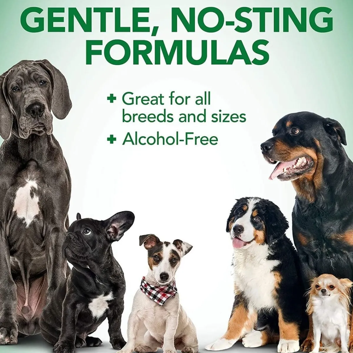 Hot spot spray 250 ml>Vet's Best Clearance