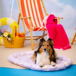 Viilennyspeti HotSummer, liila>Little&Bigger Online