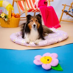 Viilennyspeti HotSummer, liila>Little&Bigger Online