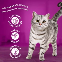 Classic meals in jelly 60x85g>Whiskas Discount