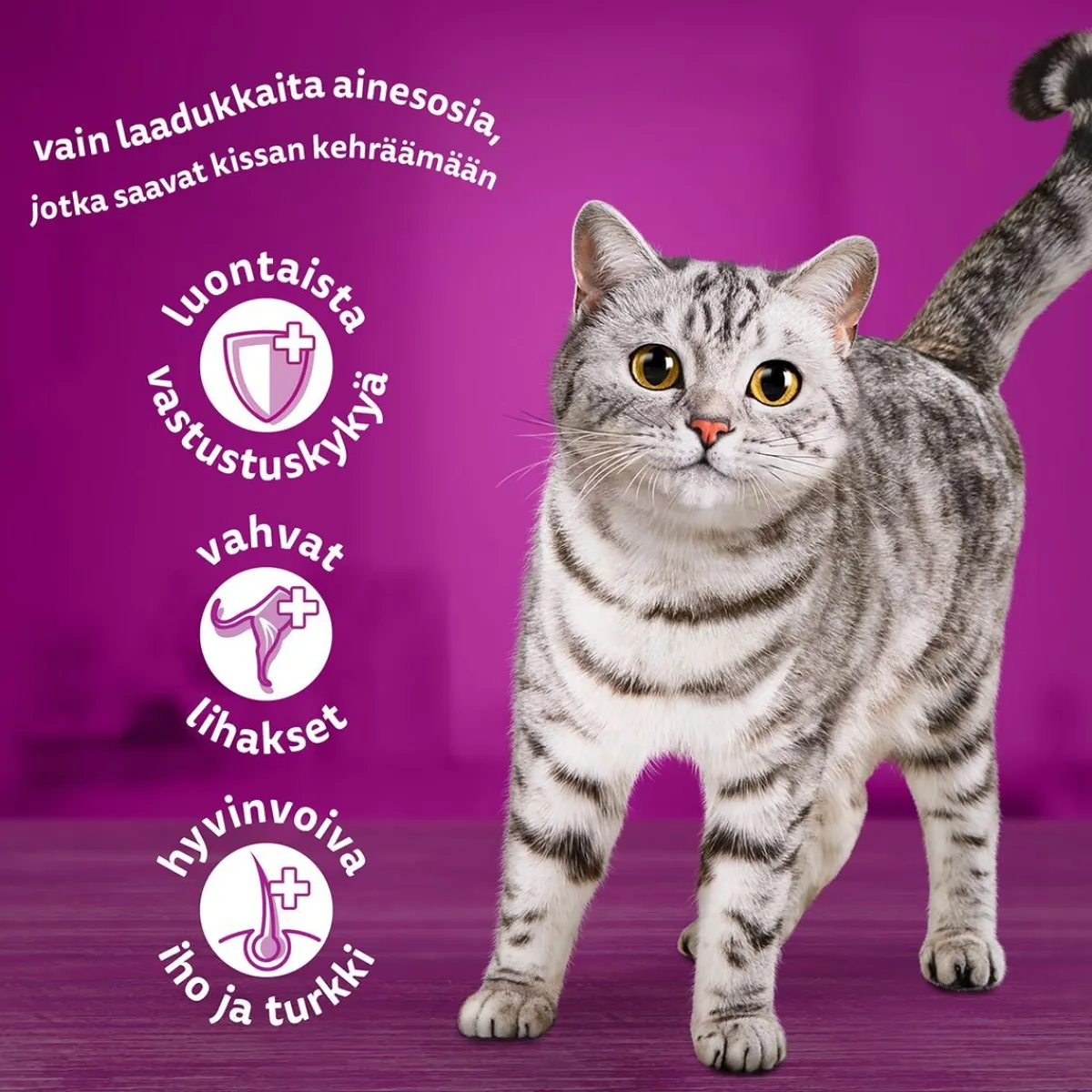 Classic meals in jelly 60x85g>Whiskas Discount