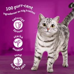 Classic meals in jelly 60x85g>Whiskas Discount