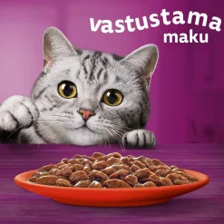 1+ gravy 40x85 g>Whiskas Hot
