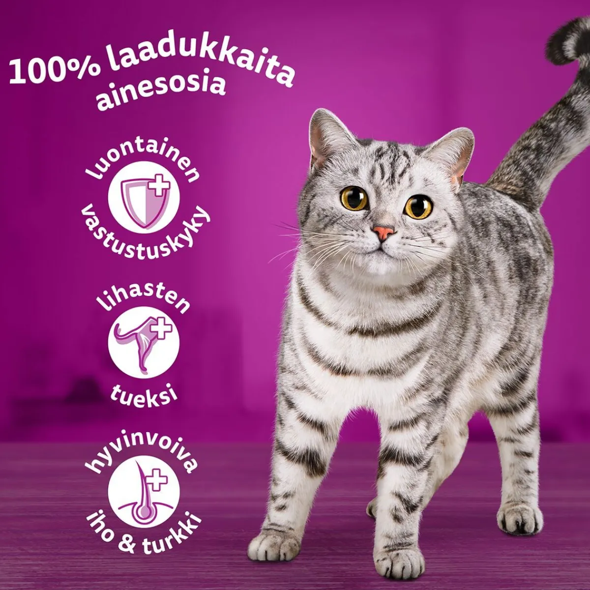1+ gravy 40x85 g>Whiskas Hot