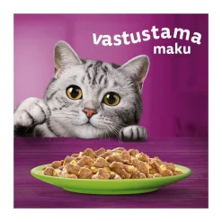 1+ jelly 40x85 g>Whiskas Clearance